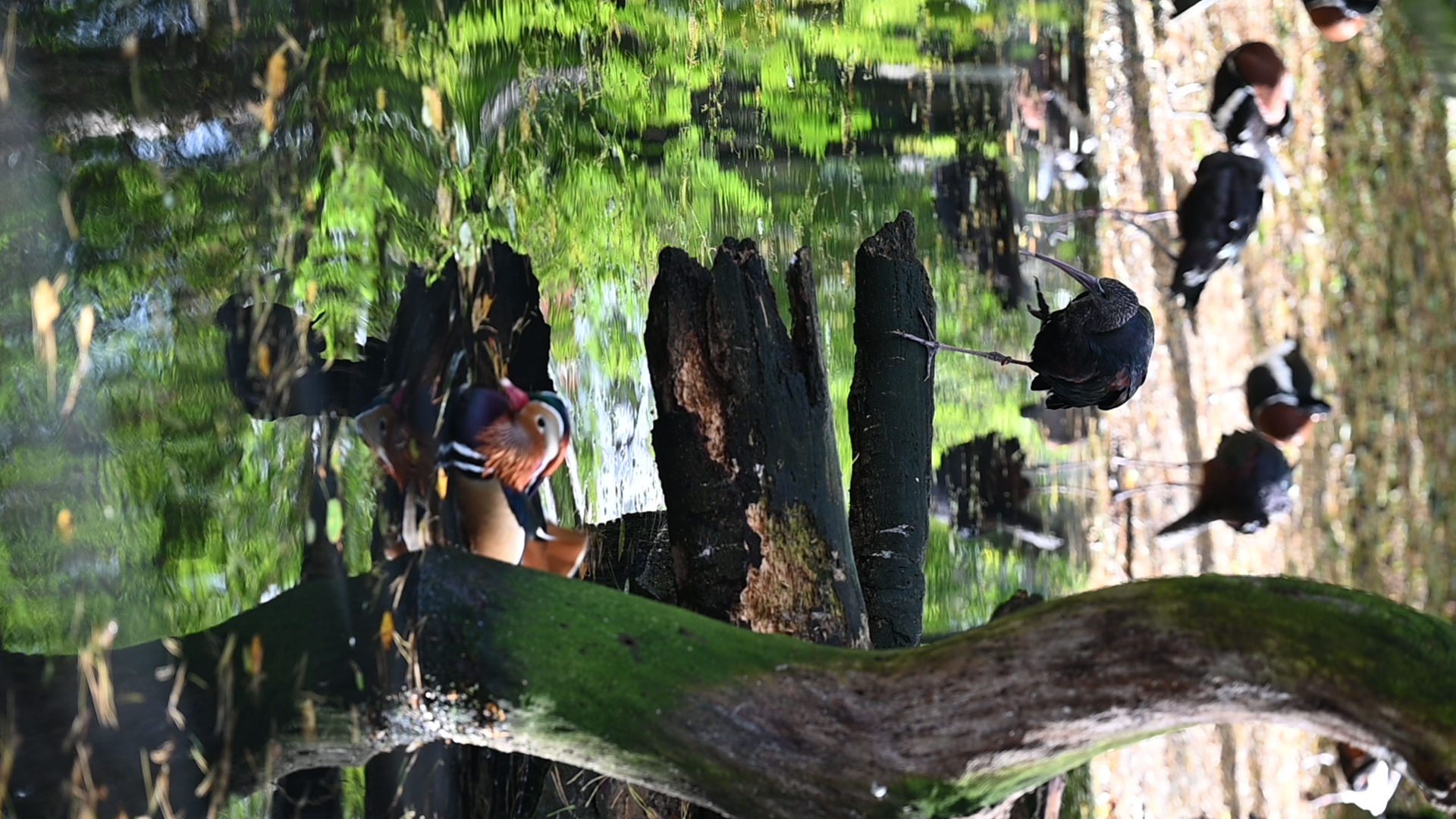 2025/10/12 - zoo/DSC_0036.JPG